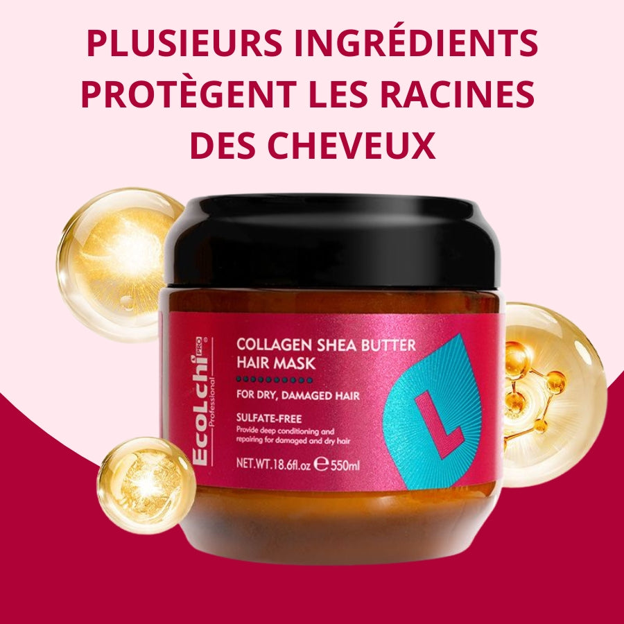 Ecolchi Pro - Offrez à vos cheveux la cure de luxe qu'ils méritent